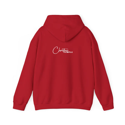 JESUS Is King Hoodie