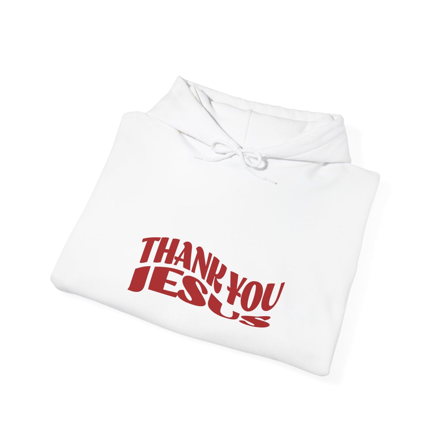 Thank you Jesus Hoodie