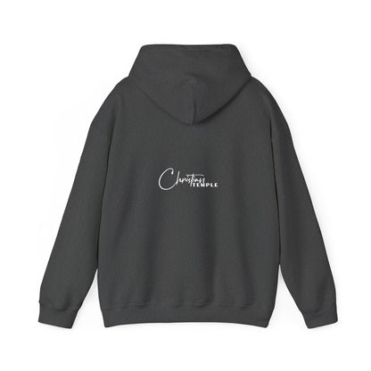 Jesus is King Hooded Sweatshirt, Unisex Hoodie, Christian Apparel, Religious Gifts, Faith-Based Sweatshirt, Church Wear