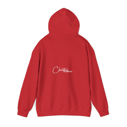 Jesus is King Hooded Sweatshirt, Unisex Hoodie, Christian Apparel, Religious Gifts, Faith-Based Sweatshirt, Church Wear